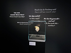 Blick in die Ausstellung (Foto Marion Ruisinger)