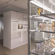 Blick in die Ausstellung (Foto Johannes Hauser)