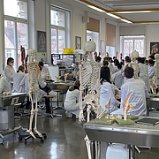 Anatomieunterricht in Erlangen (Foto: Lars Bräuer)