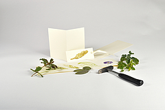 Foto: Elke Schlottermüller