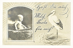 Postkarte "Milchkarte" (Foto Alois Unterkircher)