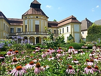 Arzneipflanzengarten (Foto: Maren Biederbick)