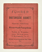 Anatomisches Kabinett Wien (Foto Alois Unterkircher)