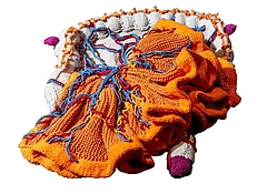 Gestrickter Darm (Foto: Katharina Sabernig)