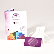 "Tesla-Energieplatte", Fa. TeslaVital®, Schweiz, um 2025 (Foto Alois Unterkircher)