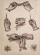 Lithographische Tafel von Nicolas H. Jacob (Foto: DMMI)