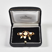 Milchzahnbrosche im Etui (Foto: Alois Unterkircher)