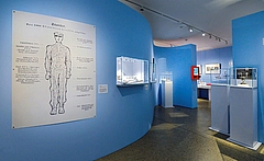 Blick in die Sonderausstellung (Foto: Ulrich Rössle)