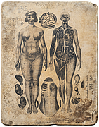 Lithographische Platte (Foto: Hubert Klotzeck)