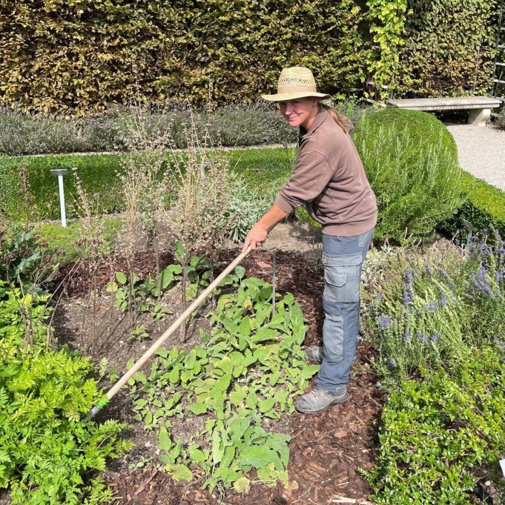 Gartenführung: Herbstarbeiten im Arzneipflanzengarten